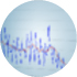 Product Quality Monitoring and Data Anaysis Icon